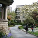 Tammy Romano Photo 20