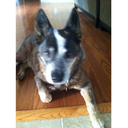 Susan Inman Photo 28