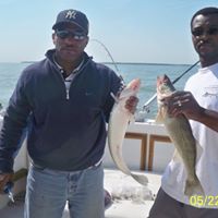 Lonnie Cook Photo 49
