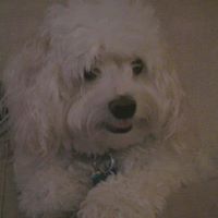 Linda Beeson Photo 10