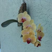 Barbara Paddock Photo 7