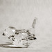 Crystal Bowers Photo 41