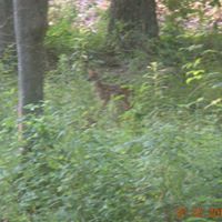 John Colter Photo 5