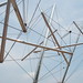 Kenneth Land Photo 12