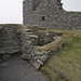 Elizabeth Stephenson Photo 20
