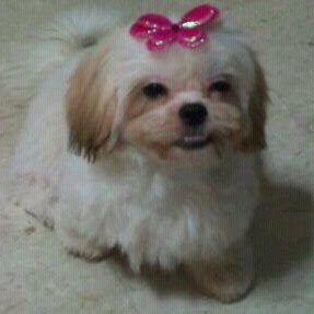 Jean Rose Photo 20