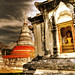 Andy Singh Photo 16