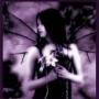 Crystal Toler Photo 14