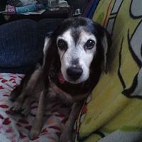 Sharon Morris Photo 25