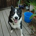 Lora Foster Photo 13