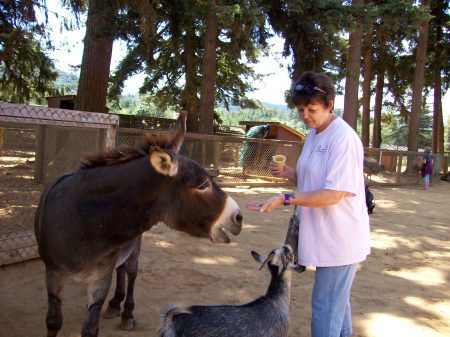 Nancy Peterson Photo 26