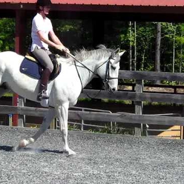 Allison Wyatt Photo 36