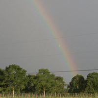 Donna Giles Photo 18