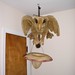 Morris Griffin Photo 27