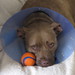Janie Cone Photo 5
