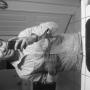 Gilbert Pacheco Photo 34