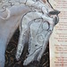 Elizabeth Webster Photo 14