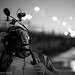Philip Bloom Photo 24
