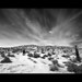 Jonathan Rosa Photo 10