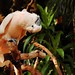 Charlie Park Photo 22
