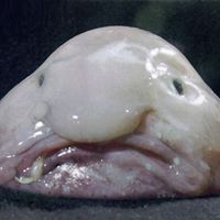 Colton Hernandez Photo 2