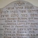 Nathan Levy Photo 10