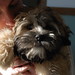 Edwin David Photo 14