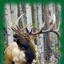 Roger Newton Photo 43