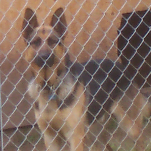Christine Culp Photo 27