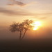 Misty Weathers Photo 9