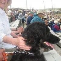 Susan Walby Photo 4
