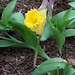 Teresa Atkinson Photo 31