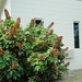 Mary Fleming Photo 10