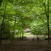 Julie Lancelot Photo 6