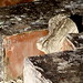 Martha Swain Photo 13