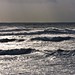 Gale Winters Photo 9