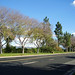 Robert Stockton Photo 26