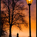 Dawn Parks Photo 30