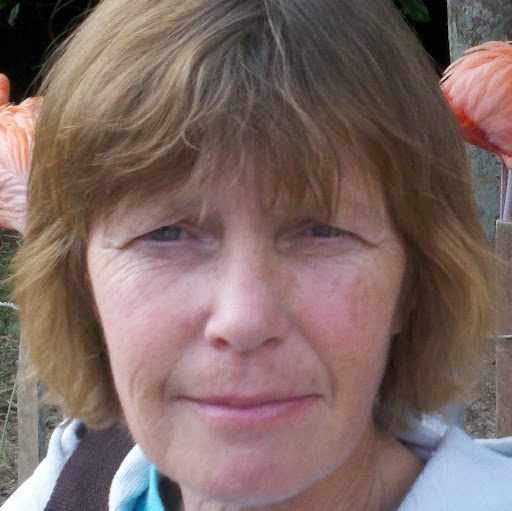 Terri Jeter Photo 12