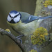 Andrew Day Photo 21