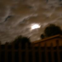 Charles Martell Photo 23