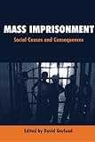 Mass Imprisonment: Social Causes And Consequences