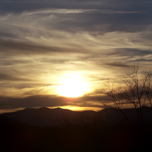 Nancy Sweeney Photo 24