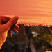 Gabriel Nieves Photo 18