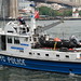 Anthony Sanchez Photo 17