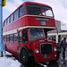 Steven Kirby Photo 14
