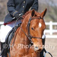 Vicki Shaw Photo 40