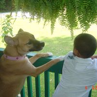 Colleen Gaskins Photo 4