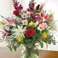 Tony Gonsalves Photo 20