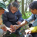 Patricia Samples Photo 15